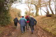 The Walking Group near Corsley